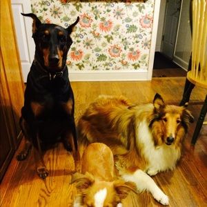 Pictures for @danbran2